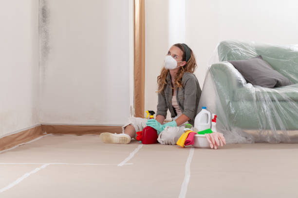 Reliable Mold Remediation contractor in Greenville, MI by Car Mold Remediation